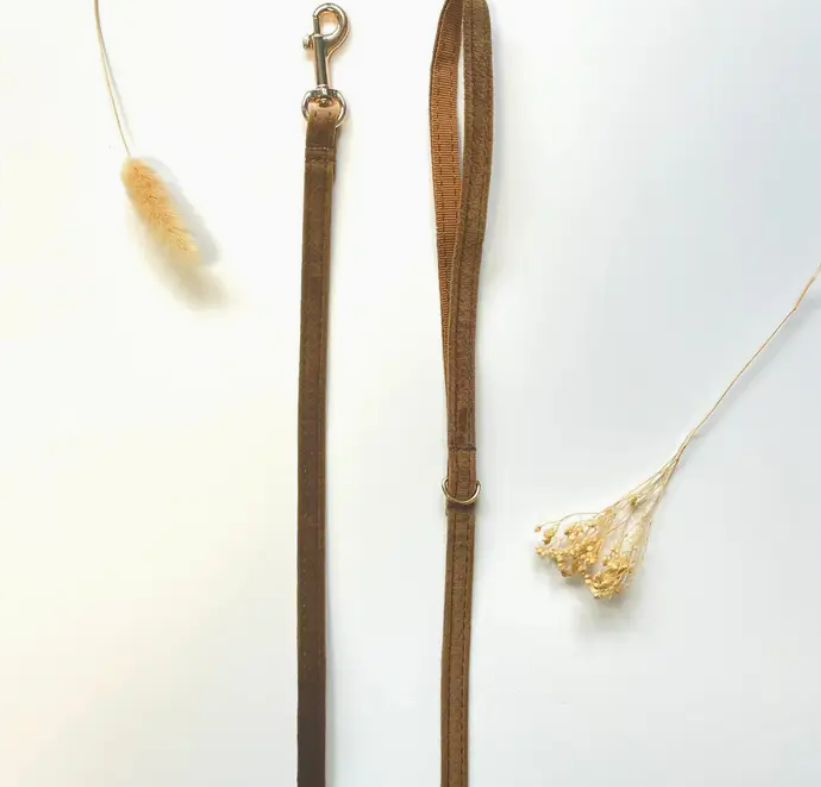 Hundeleine: Baumwolle